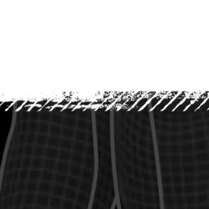 WIP 3DS