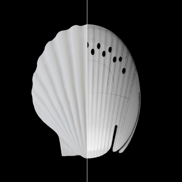 SURF BOB BUMP SHELL - Image 6