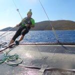 8a786ffd-f4dd-483b-9392-67846cb09f31